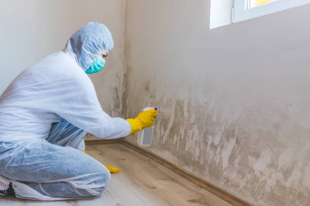 Hvac And Air Duct Mold Remediation inspection of HVAC system in Millington